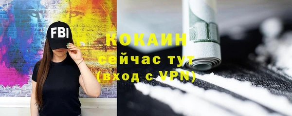 ГАЛЛЮЦИНОГЕННЫЕ ГРИБЫ Осинники
