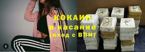 ГАЛЛЮЦИНОГЕННЫЕ ГРИБЫ Осинники