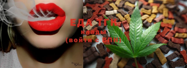 ГАЛЛЮЦИНОГЕННЫЕ ГРИБЫ Осинники