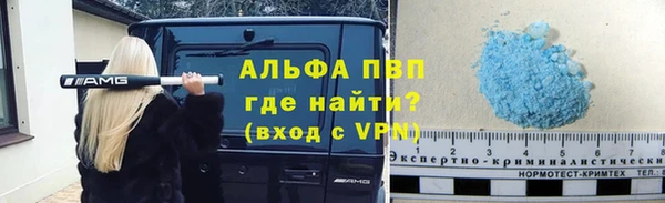 ГАЛЛЮЦИНОГЕННЫЕ ГРИБЫ Осинники