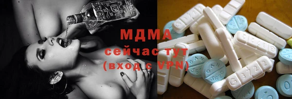 ГАЛЛЮЦИНОГЕННЫЕ ГРИБЫ Осинники