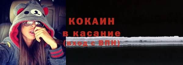 ГАЛЛЮЦИНОГЕННЫЕ ГРИБЫ Осинники