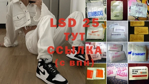 ГАЛЛЮЦИНОГЕННЫЕ ГРИБЫ Осинники