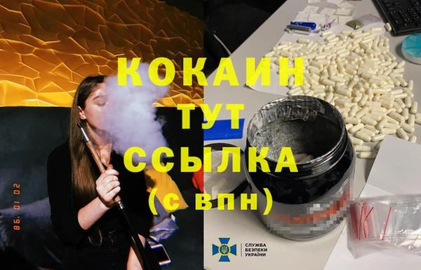 ГАЛЛЮЦИНОГЕННЫЕ ГРИБЫ Осинники