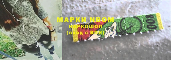 ГАЛЛЮЦИНОГЕННЫЕ ГРИБЫ Осинники