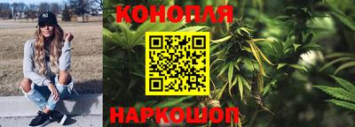 прущие грибы Донецк