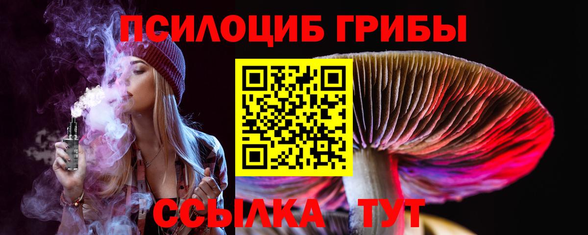Псилоцибиновые грибы GOLDEN TEACHER  Вход с VPN  Унеча 
