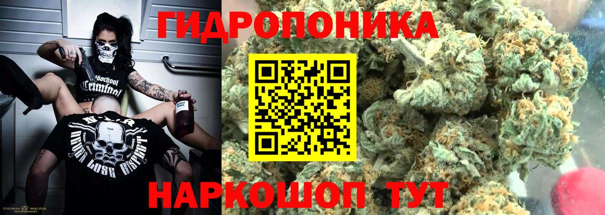 Бошки марихуана гибрид  МАРИХУАНА VHQ  Унеча  Вход с VPN  Конопля OG Kush  Шишки марихуана гибрид 